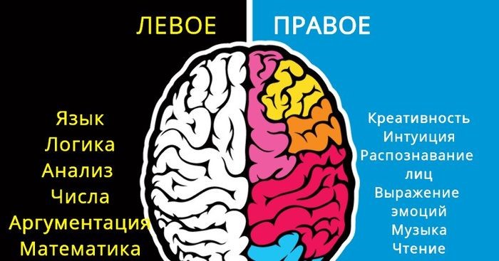 методика развития никитиных, методика развития детей никитиных